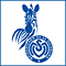 MSV Duisburg