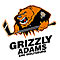 Grizzly Adams  EHC Wolfsburg