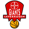 Bayer Giants Leverkusen