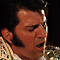 Elvis Die Legende Lebt: Oliver Steinhoff & Band