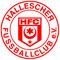 Hallescher FC 