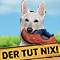 Martin Rütter: Der