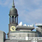 Rundgang Zwischen Rathaus Und Hafencity