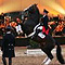 Symphonie der Hengste