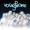 Voca People in Linz