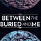 Between The Buried