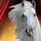 Cavallo Classico