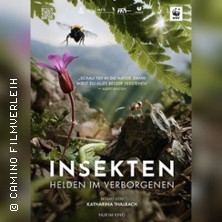 Insekten - Helden im Verborgenen | Filmklubb Offenbach