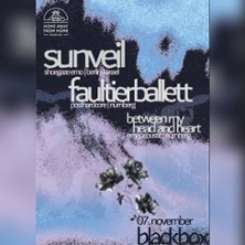 Sunveil - Faultierballett + Between My Head And Heart
