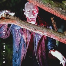 Nosferatus Auferstehung