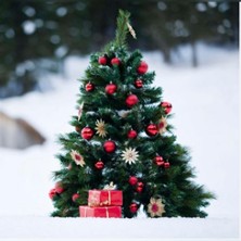 Weihnachtsmen&uuml;