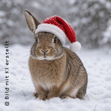 Unternehmen Weihnachtshase - Erz&auml;hltheater mit Michl Zirk