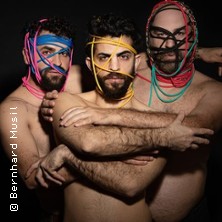 The Freedom Picnic -  Nir de Volff / Total brutal