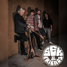 SEK & Friends - Klare Mission: Rock&acute;n&acute;Roll is not dead!