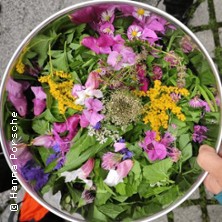 Kr&auml;uterwanderung in M&uuml;nchen