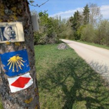 Coachingweg - Weil Ver&auml;nderung Bewegung braucht!