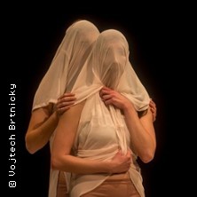 Victims & Images: Vol 2 | Roni Chadash