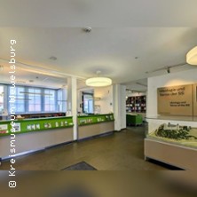 Ideologie und Terror der SS