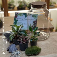 Flaschengarten Workshop - Pflanzen im Glas