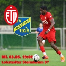 ETV Hamburg Volleyball