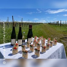 Weinbergwanderung mit Picknick | Wilhelmshof Wein- & Sektgut