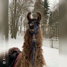 Gl&uuml;hwein-Wanderung | Aktivhof Lindengut