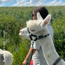 Alpaka-Wanderung in der Weilachm&uuml;hle