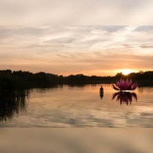 New Healing Festival