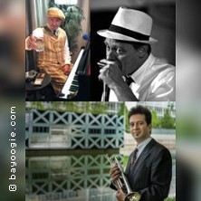 Bayoogie Masters D-Moers