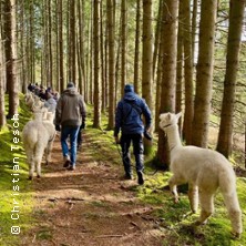 Die grosse Alpaka Wanderung! |Alpaka Weilachm&uuml;hle