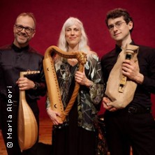 Der Troubadour und die H&ouml;fische Liebe | Aachener Wohnzimmerkonzerte