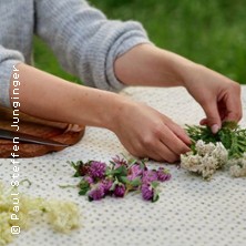 Wildkr&auml;uterspaziergang & Senfworkshop | T&uuml;bingen