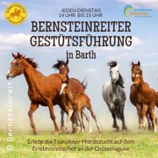 Gest&uuml;tsf&uuml;hrung Barth / Erlebnisreiterhof Bernsteinreiter