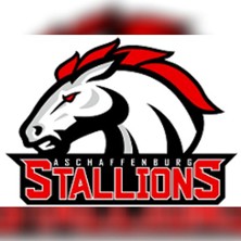 Heimspiele 2026 - Stadion am Sch&ouml;nbusch