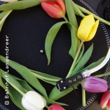 Tanz in den Mai | Die Kult-Party mit Charts und Dance Classics