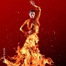 Habanera - zu hei&szlig; f&uuml;r den Konzertsaal! | Carmen & Flamenco puro in der Feuerwache