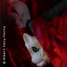 Carmen ...or not? - Marionettentheater der Stadt Bad T&ouml;lz