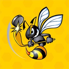 EHC Zweibr&uuml;cken - Pforzheim Bisons
