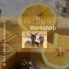 Alpaka-Seifen Workshop