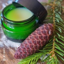 Wildkr&auml;uter-Workshop Salben & Tinkturen - Kr&auml;uterwanderung, Wildkr&auml;uter-Workshop