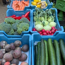 Fermentation - Mikroben: nat&uuml;rlich + gesund f&uuml;r das Darmgl&uuml;ck!