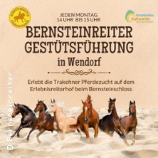 Gest&uuml;tsf&uuml;hrung Wendorf