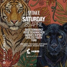 Antigue x H26 K&ouml;ln