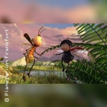 Das Geheimnis Der B&auml;ume