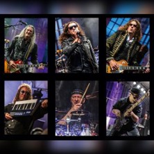 Dr. Woo&acute;s Rock`n`Roll Circus - Der Rock`n`Roll Rausch der Sinne