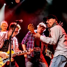 Taste Of Woodstock - A Tribute to Crosby, Stills & Nash And Young