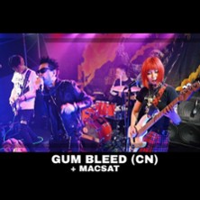 Gum Bleed