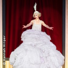 Theater der Stadt Schweinfurt