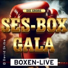 SES Box-Gala - Boxen Live