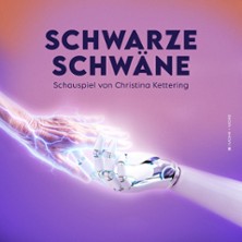 Schwarze Schw&auml;ne - Grenzlandtheater Aachen